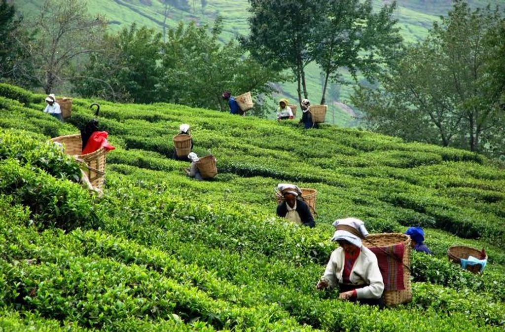 Dhaka Private Tour - 