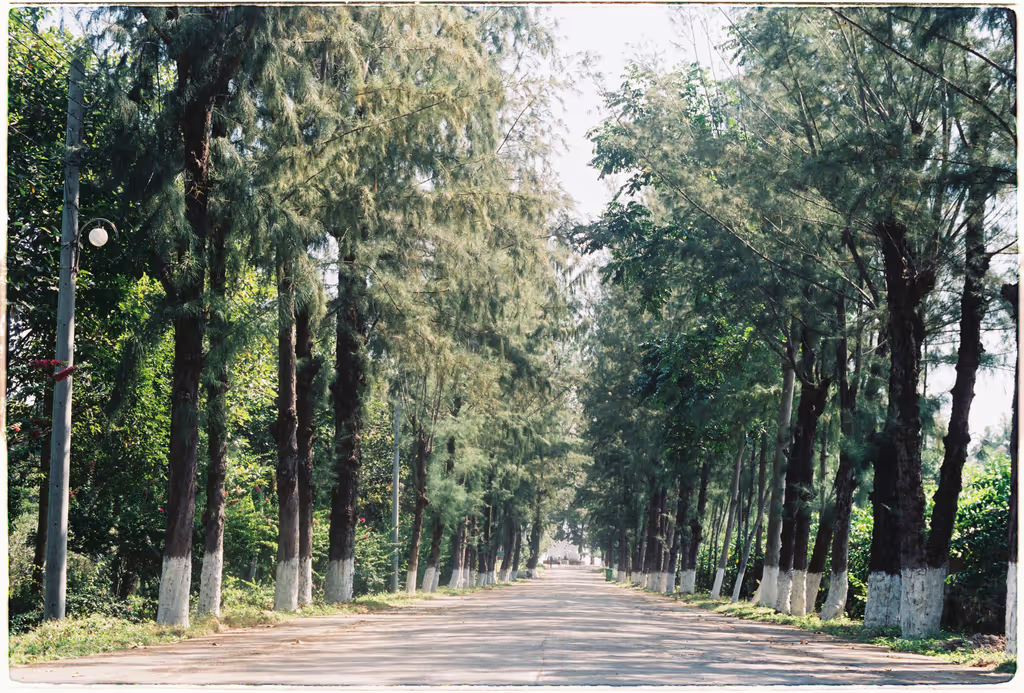 Dhaka Private Tour - Cox's bazar jhawban 