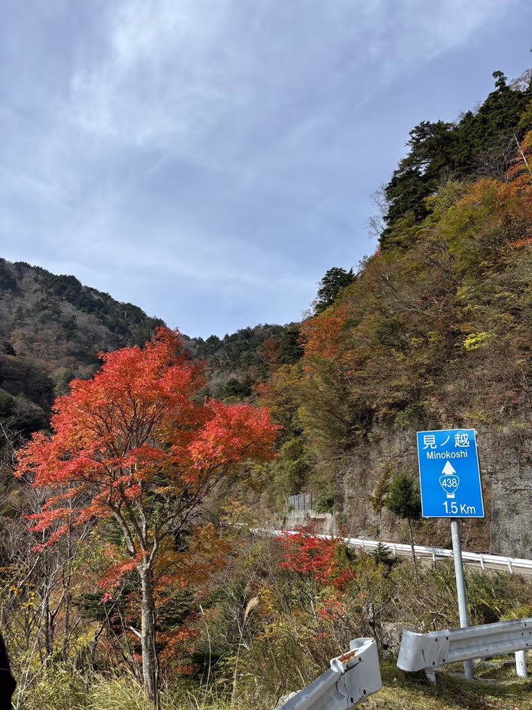 Tokushima Private Tour - Autumn leaves