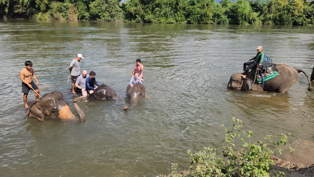 Bangkok Private Tour - Learning elephant life.