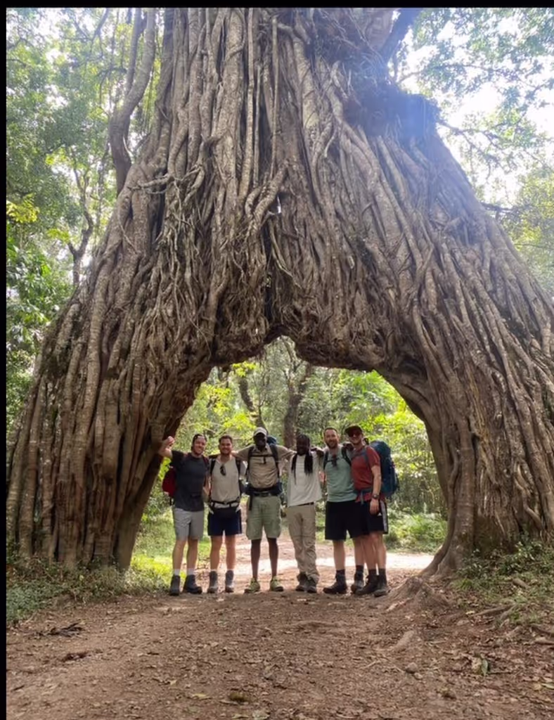 Kilimanjaro Private Tour - 
