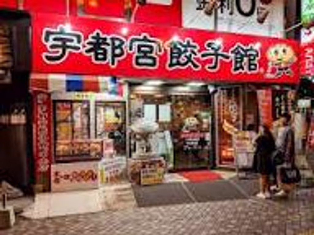 Tochigi Private Tour - UTSUNOMIYA GYOZA MECCA