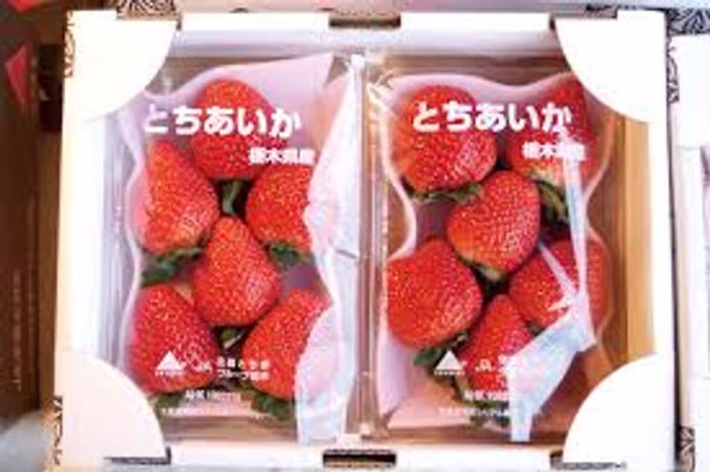 Tochigi Private Tour - STRAWBERRY HEAVEN