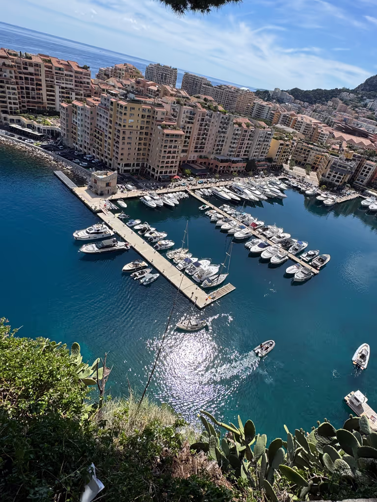Monaco Private Tour - Fontvieille-22 hectares of Monaco created from the Meditarranean