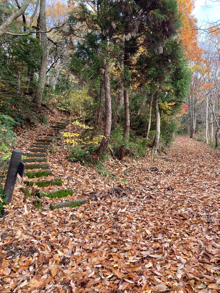 Toyama Private Tour - A mountain trail in autumn