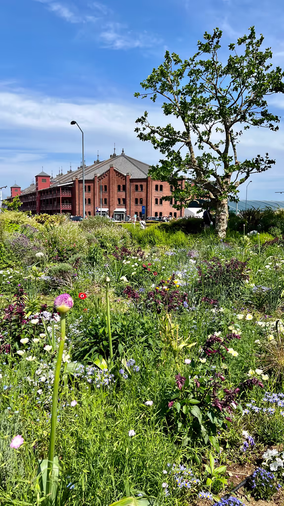 Kamakura Private Tour - Yokohama Red Brick Warehouse