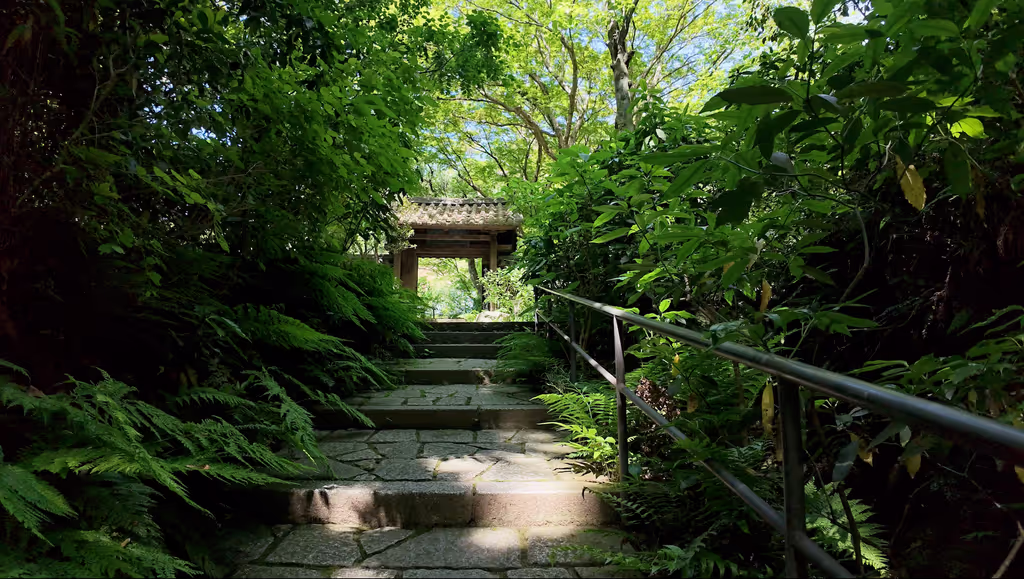 Kamakura Private Tour - Stone Steps at Zuisen-ji