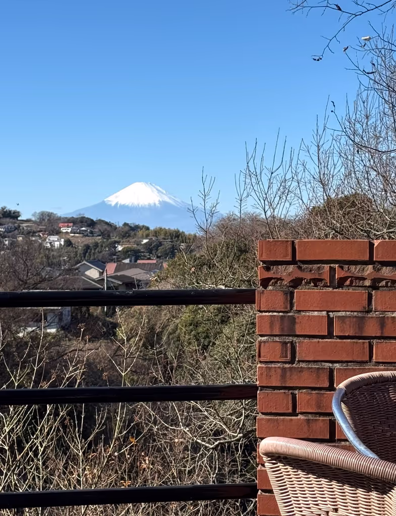 Kamakura Private Tour - Mt. Fuji View on a Hike