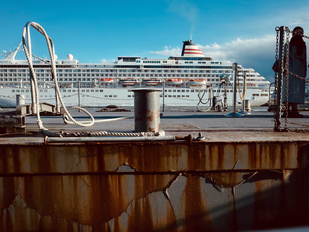 Kamakura Private Tour - Cruise Ship at Yokohama Port