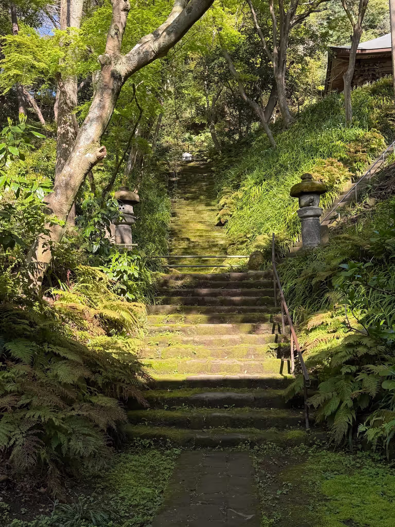 Kamakura Private Tour - Mystical Mossy Steps at Myoho-ji Temple