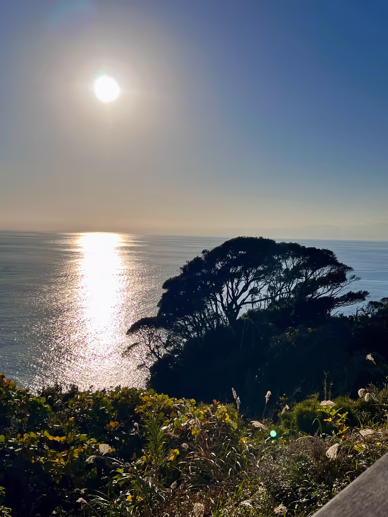 Kamakura Private Tour - Panoraimc View from Enoshima