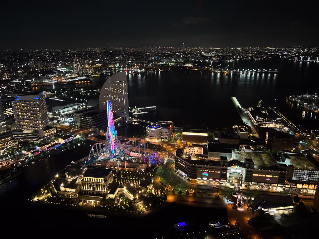 Kamakura Private Tour - Stunning Night View of Yokohama
