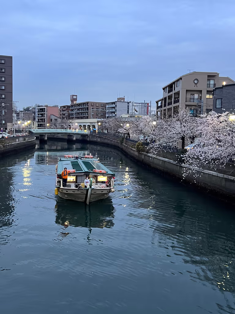 Kamakura Private Tour - Ooka River during Sakura Season