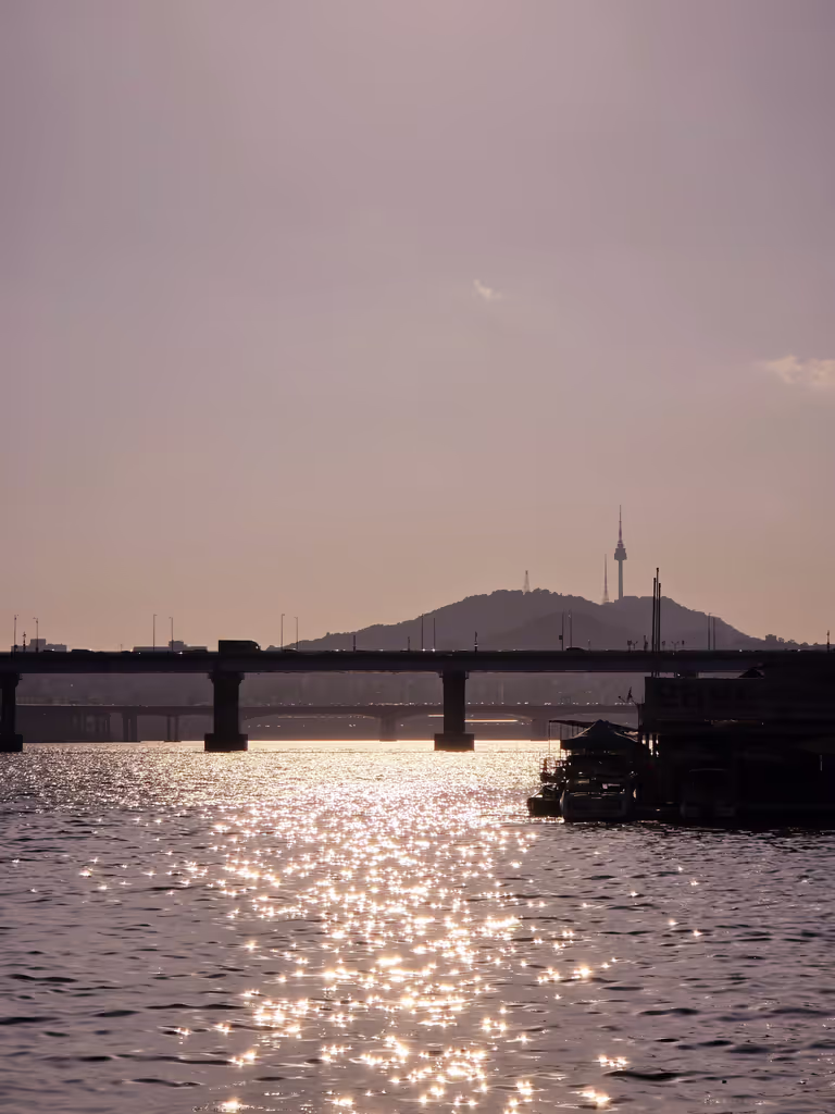 Seoul Private Tour - Han River (i'm good at taking photos)