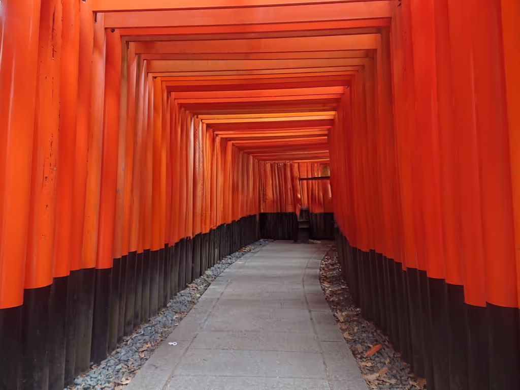 Hyogo Private Tour - Fyshimi Inari Taisya Shrine