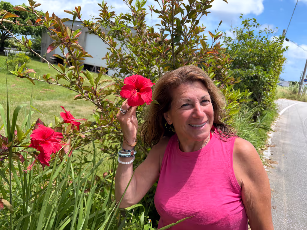 Okinawa Main Island Private Tour - Hibiscus