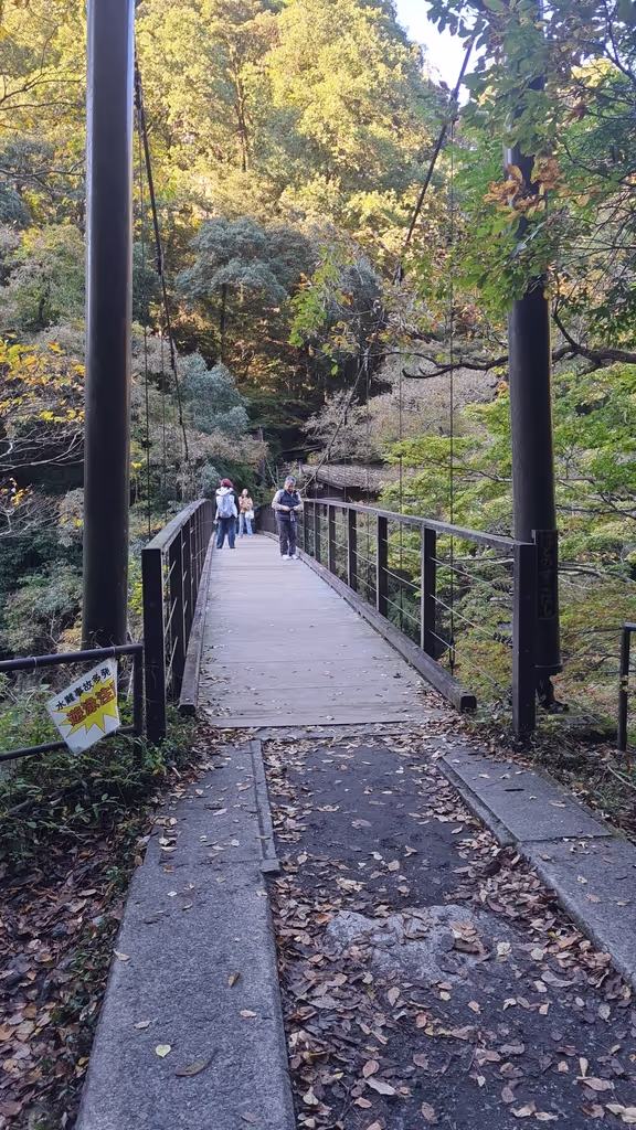 Tokyo Private Tour - 