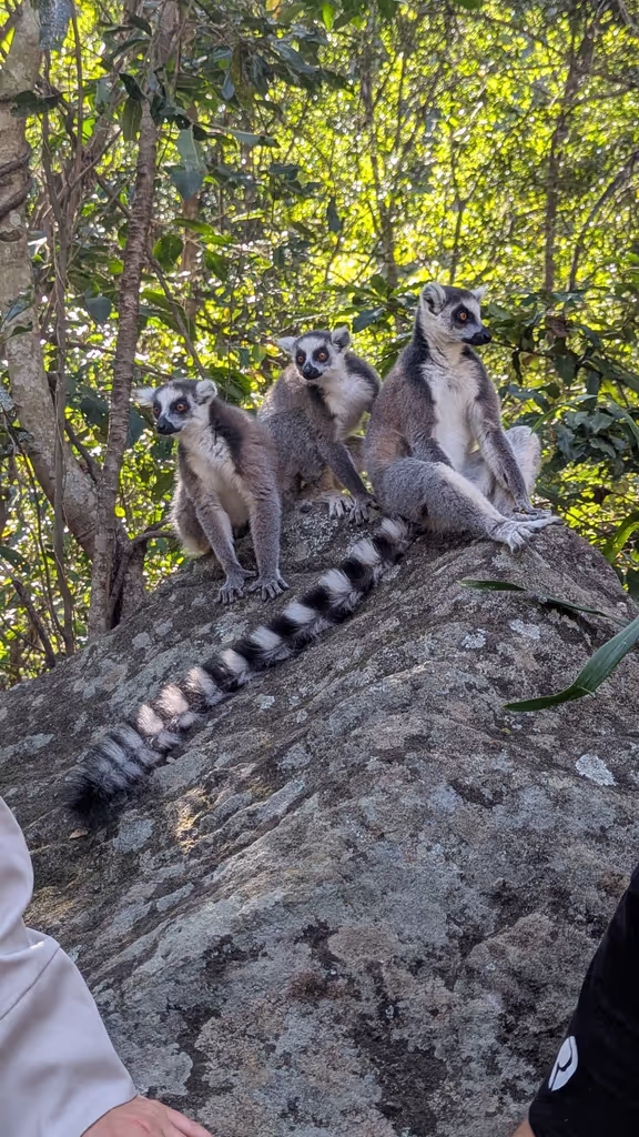 Antananarivo Private Tour - 