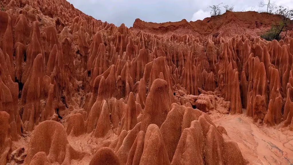 Antananarivo Private Tour - 