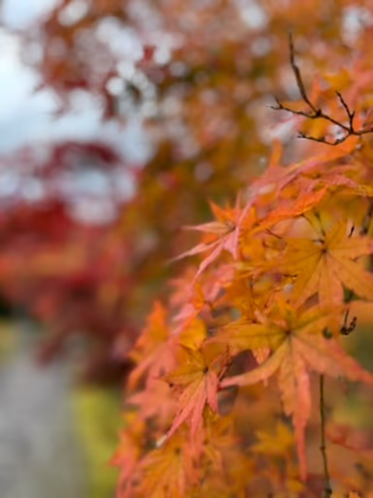 Kanagawa Private Tour - 