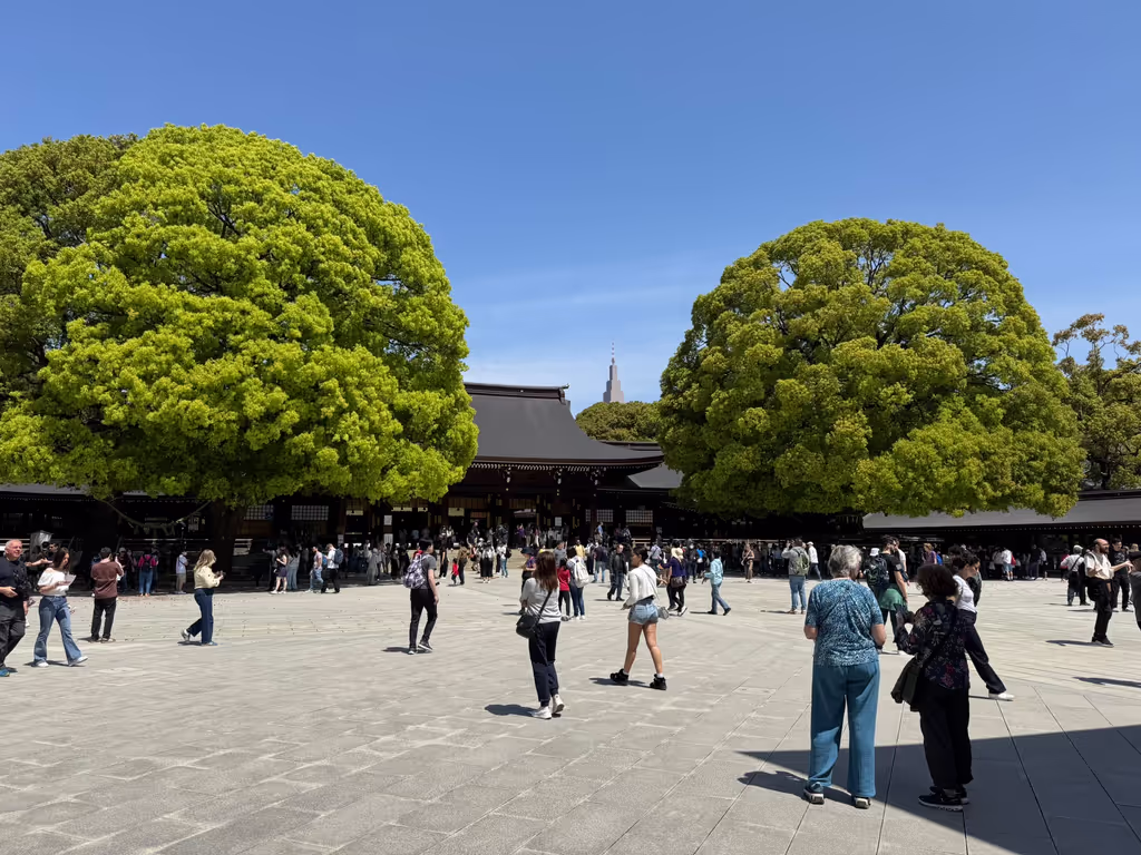 Kanagawa Private Tour - 