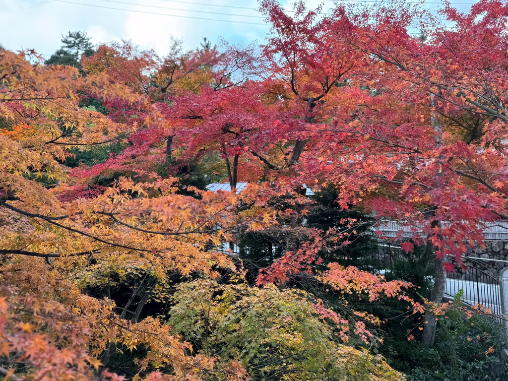 Kanagawa Private Tour - 