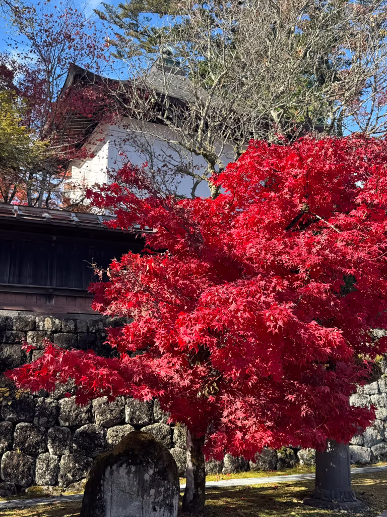 Kanagawa Private Tour - 