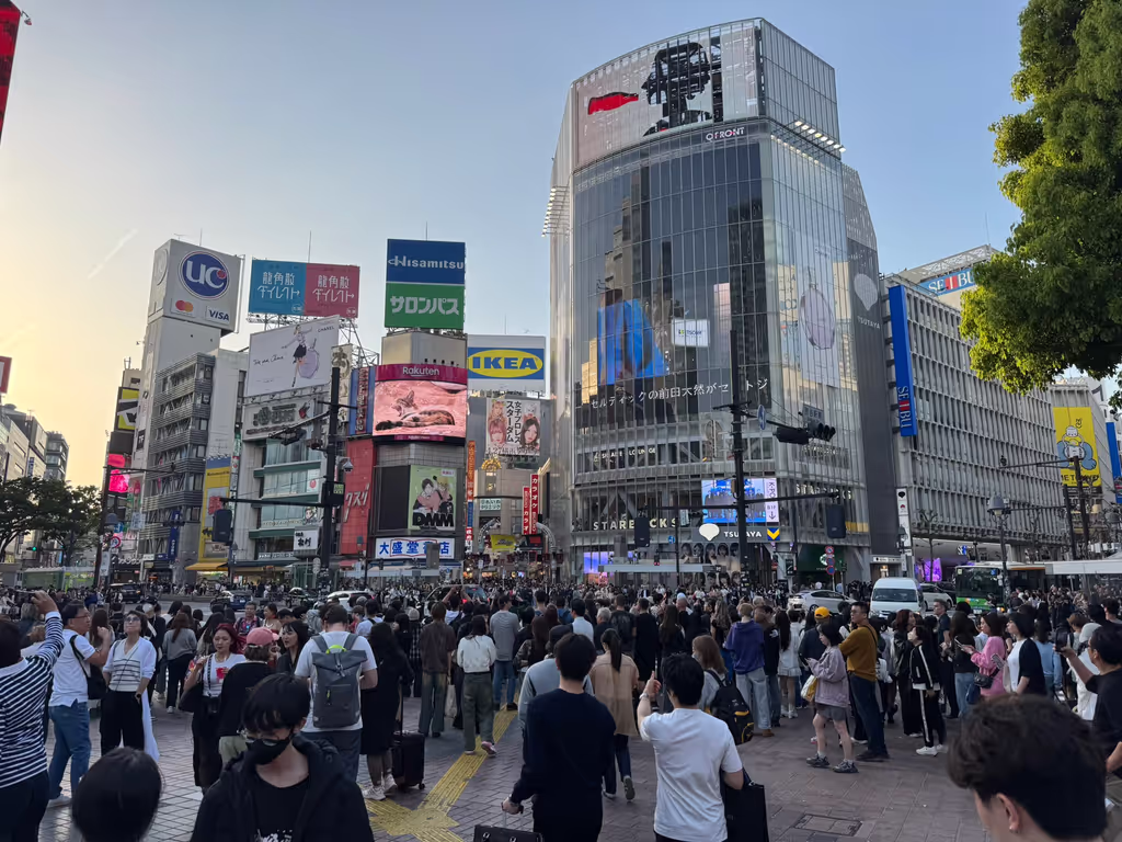Kanagawa Private Tour - 