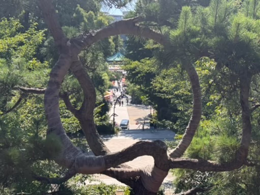 Kanagawa Private Tour - 