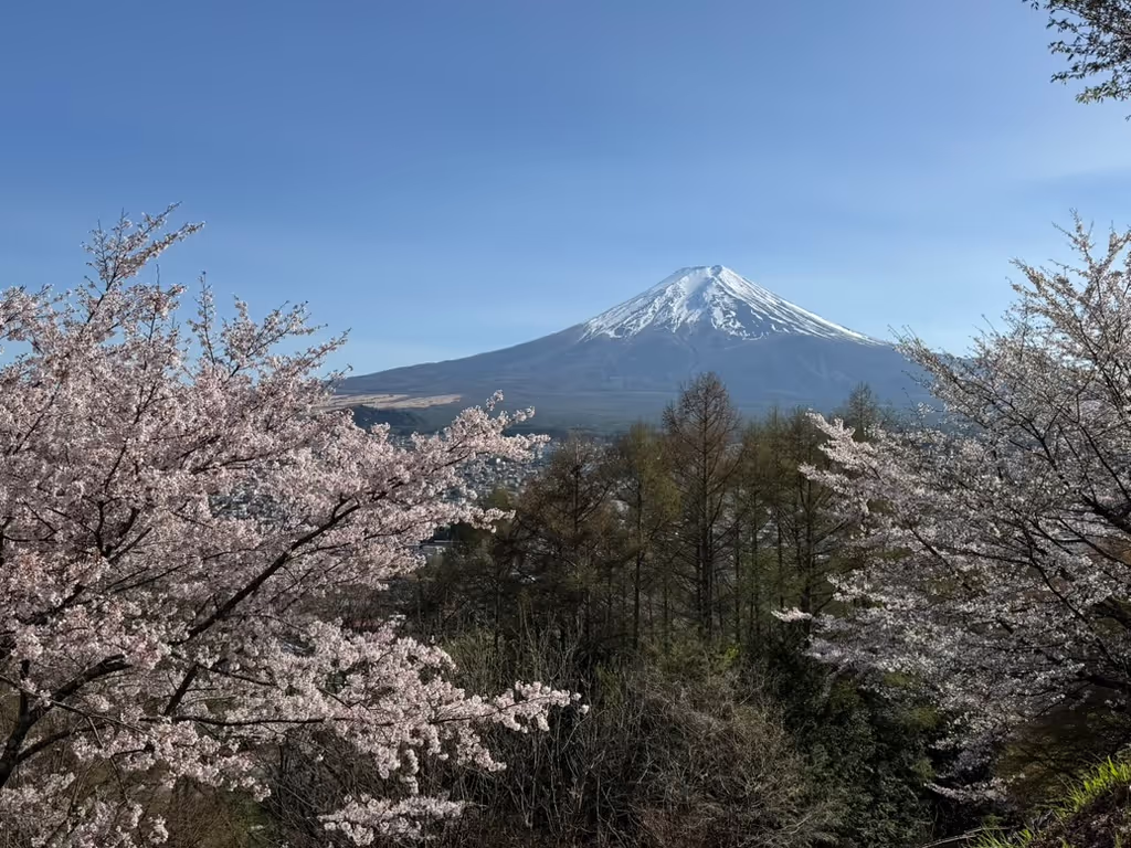 Kanagawa Private Tour - 