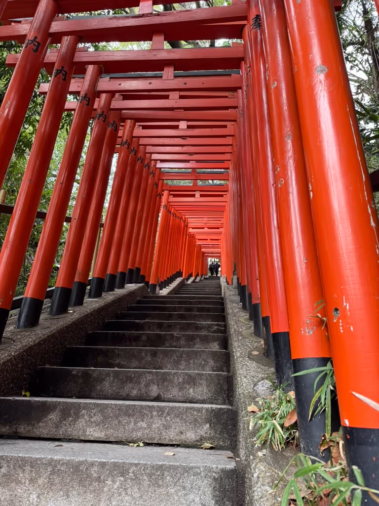 Kanagawa Private Tour - 