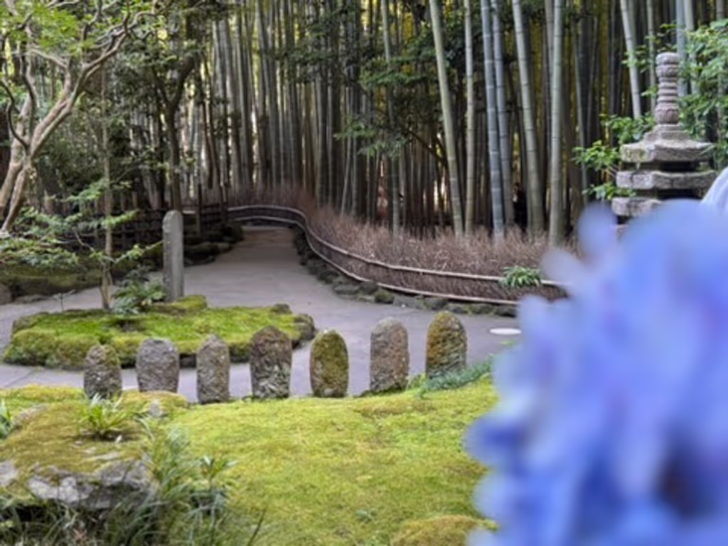 Kanagawa Private Tour - 