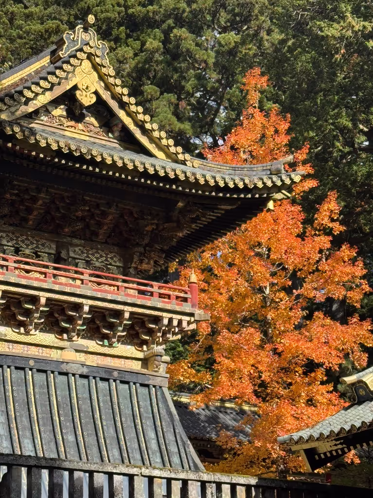 Kanagawa Private Tour - 