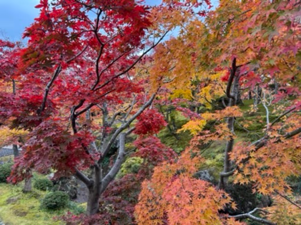 Kanagawa Private Tour - 