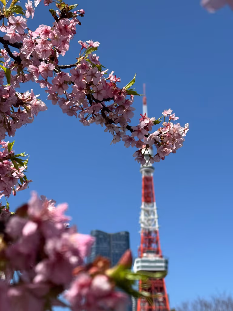 Kanagawa Private Tour - 