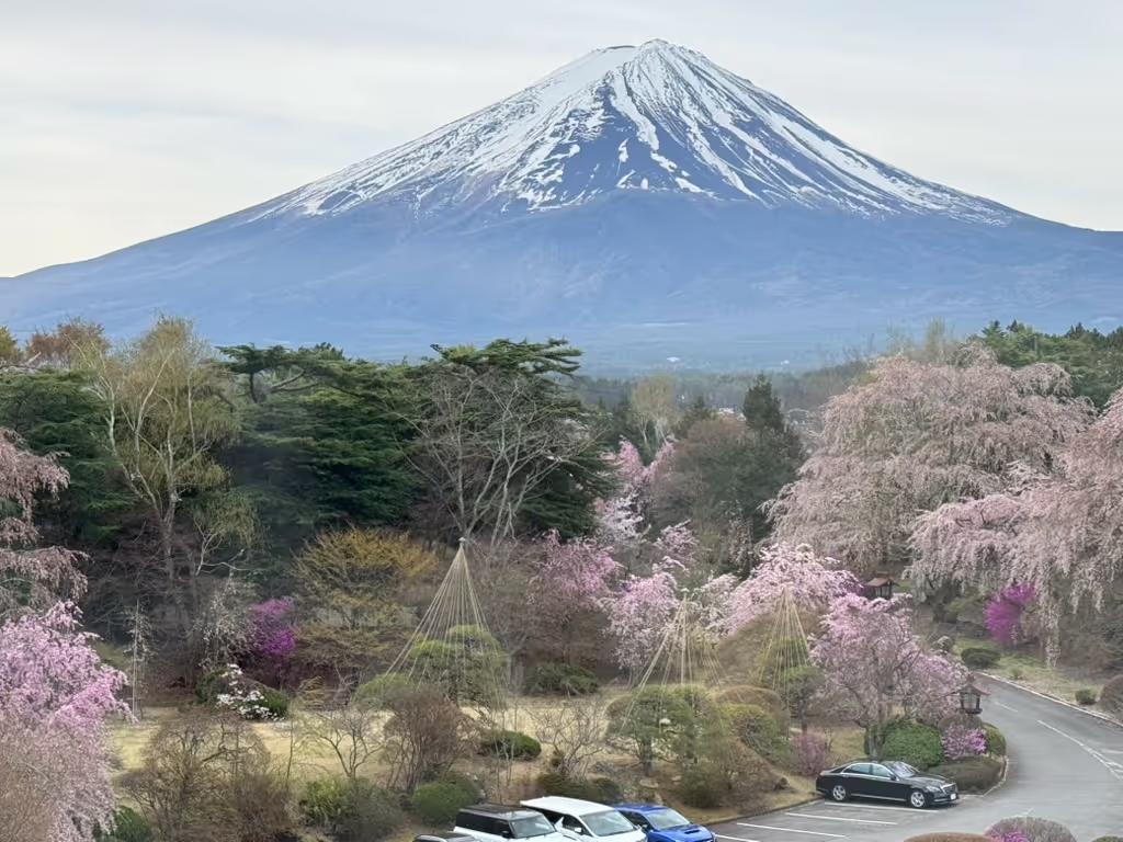 Kanagawa Private Tour - 