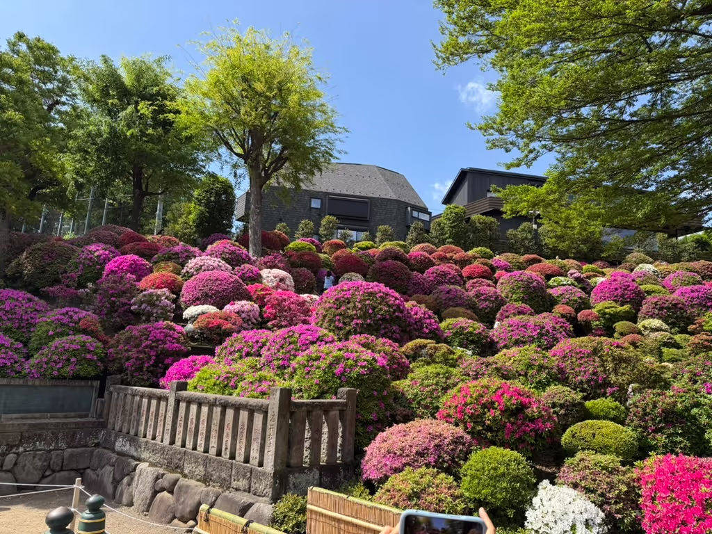 Kanagawa Private Tour - 