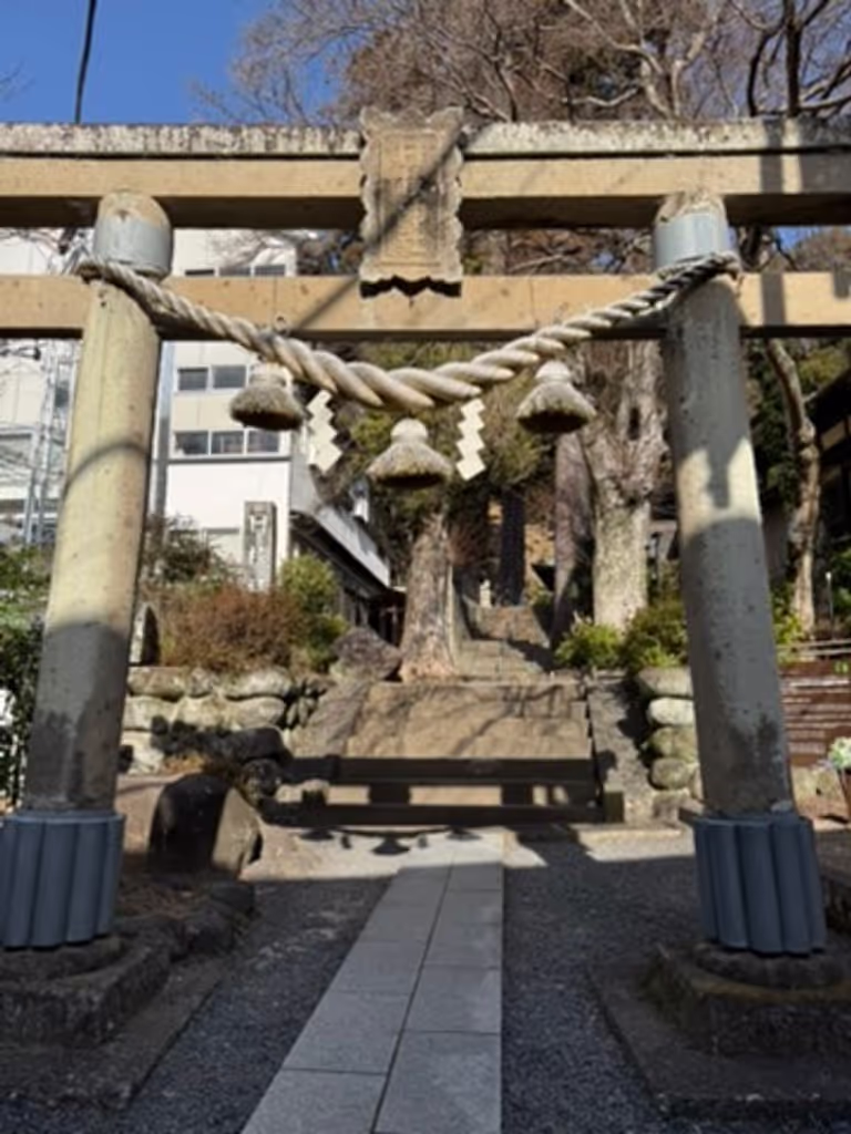 Kanagawa Private Tour - 