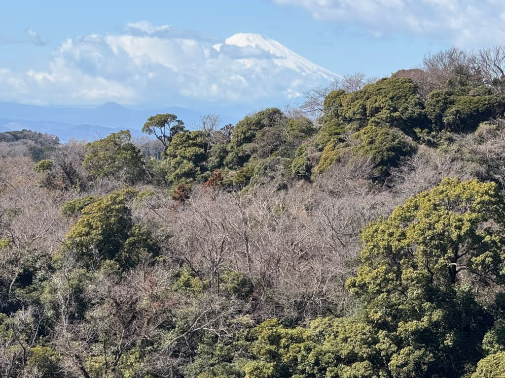 Kanagawa Private Tour - 