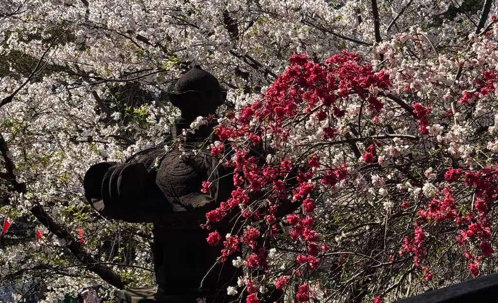 Kanagawa Private Tour - 