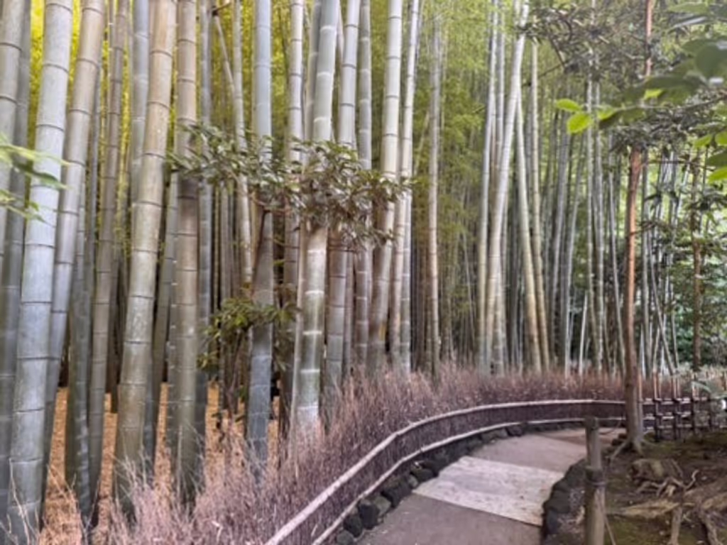 Kanagawa Private Tour - 