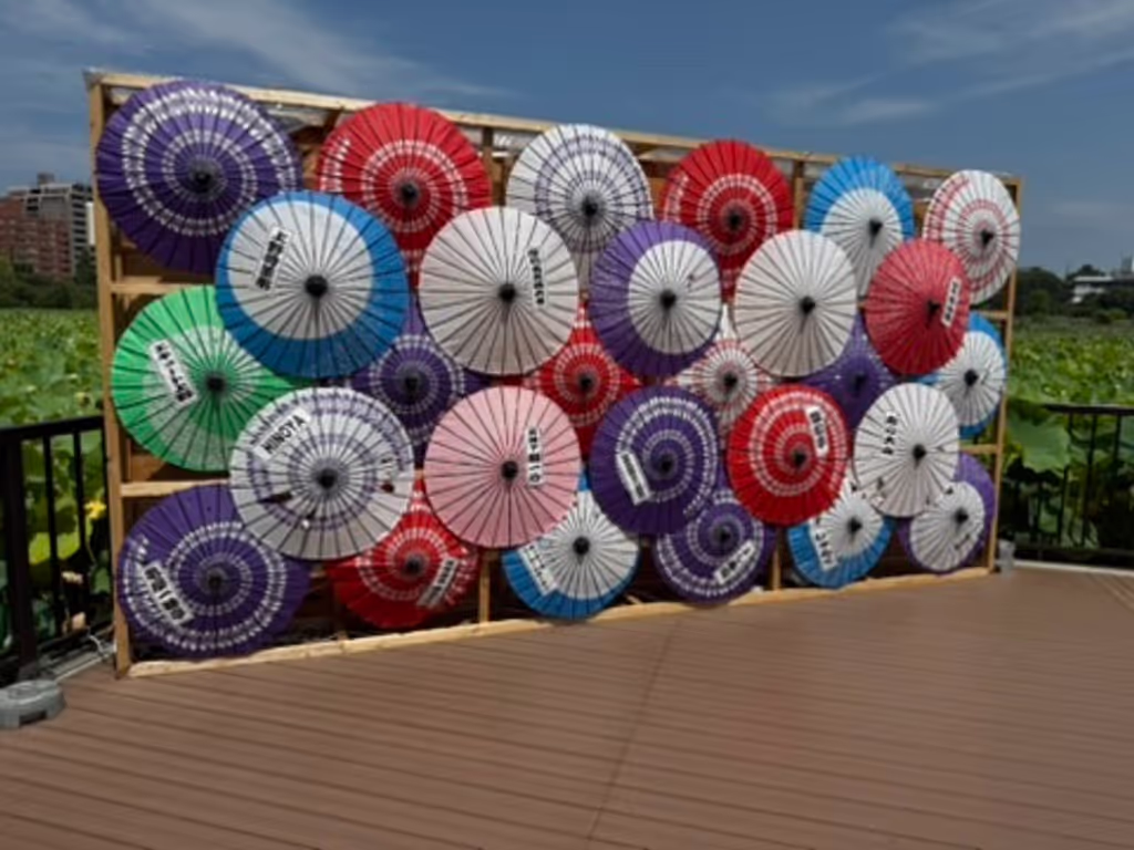 Kanagawa Private Tour - 