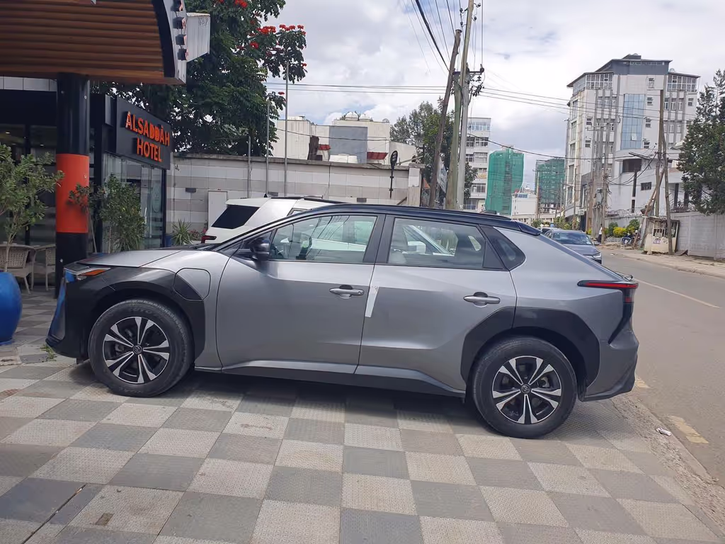 Addis Ababa Private Tour - car electric