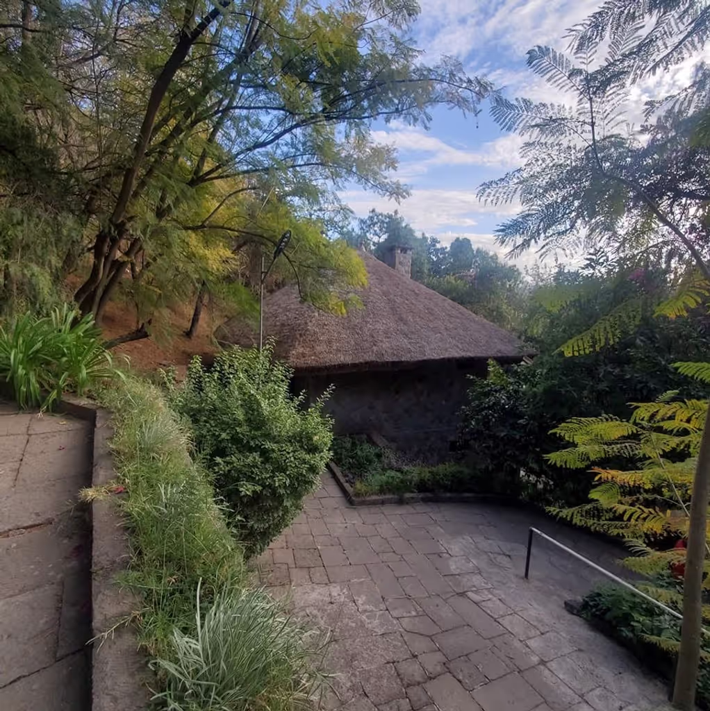 Addis Ababa Private Tour - vibe check addis