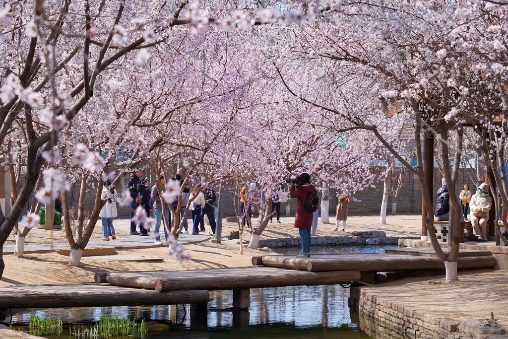 Beijing Private Tour - 
