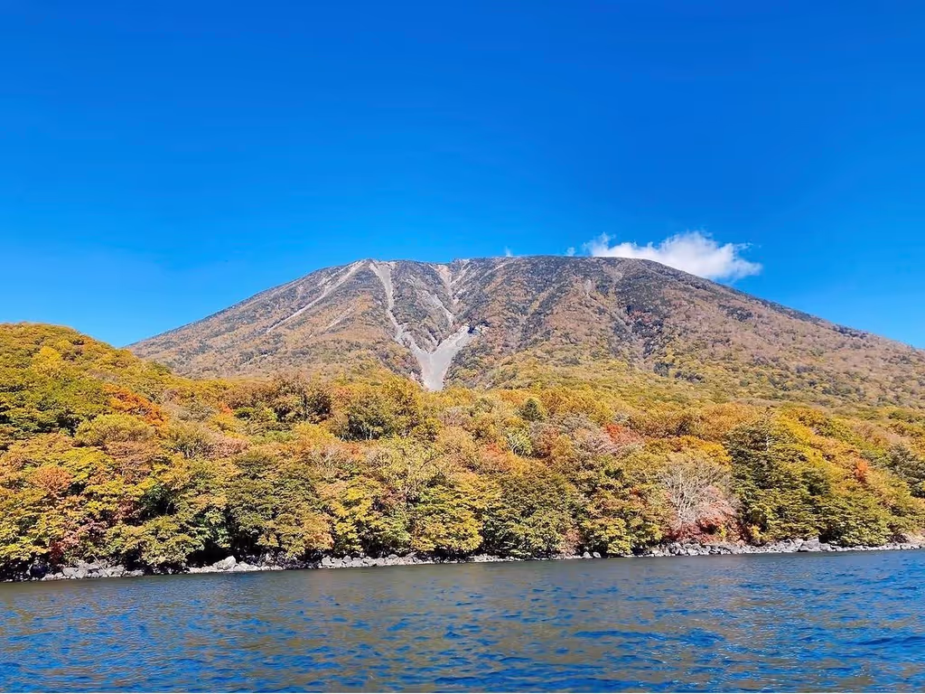 Tochigi Private Tour - 