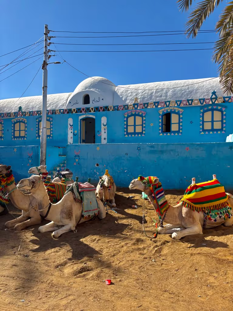 Aswan Private Tour - 
