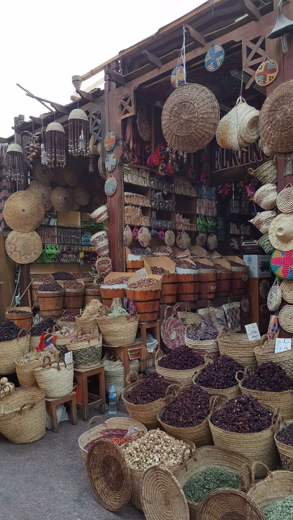 Aswan Private Tour - 