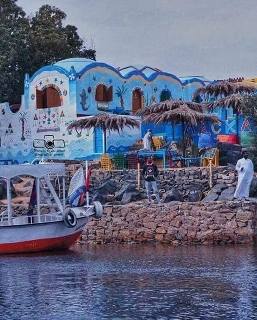 Aswan Private Tour - 