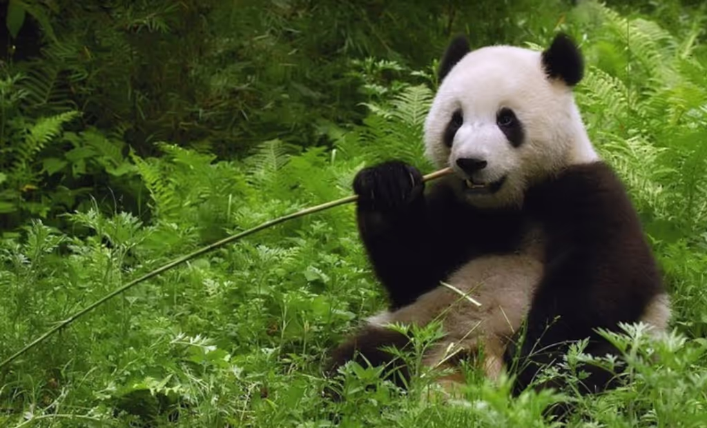 Beijing Private Tour - 